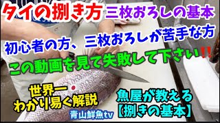 【タイの捌き方】【三枚おろし】【魚の捌き方】初心者🔰三枚おろしが苦手な方必見！魚屋が教える世界一わかり易いタイの捌き方