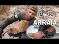 FERROADA DE ARRAIA - PRIMEIROS SOCORROS