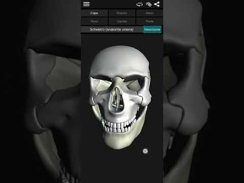 https://play.google.com/video/lava/web/player/yt:movie:nW_fIglHIzw