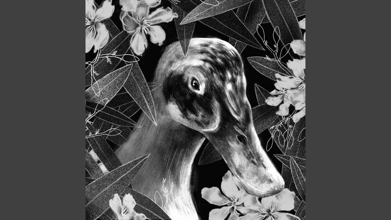 Surface (Of My Roof)