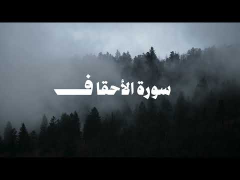 سورة الأحقاف كاملة | الشيخ محمد عبادة