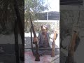 كلام من ذاكرة التاريخ في اليمن