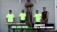 Brongo's Tree Service - Rochester, NY