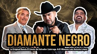 Video thumbnail of "Diamante Negro La Original Banda El Limón & El Mimoso Luis Antonio López (Homenaje A Salvador Lga.)"