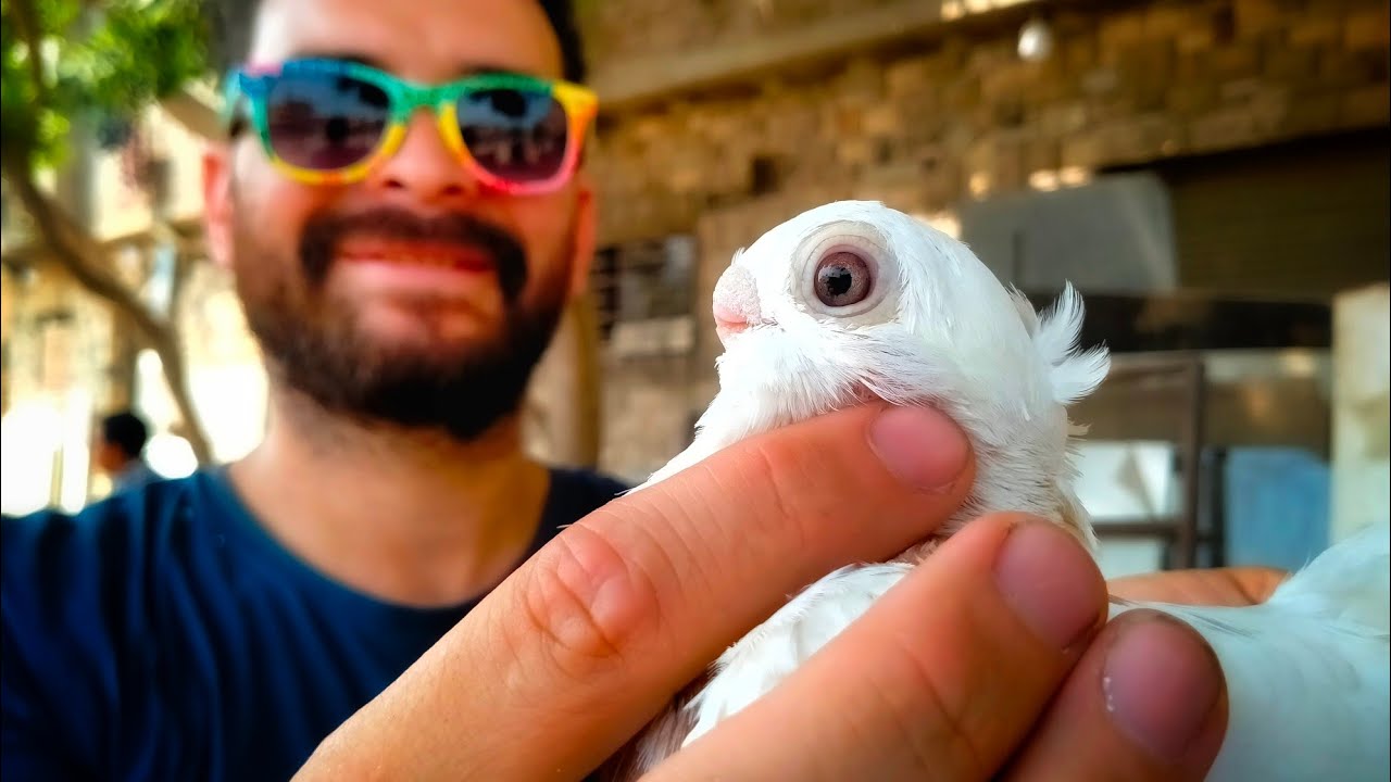 عالأصل والتكوين أكيد باينين فى حمام الغاوى حسين🏆حمام ولاد الذوات💎 من سوق الأحد بالسيده عائشه 💰