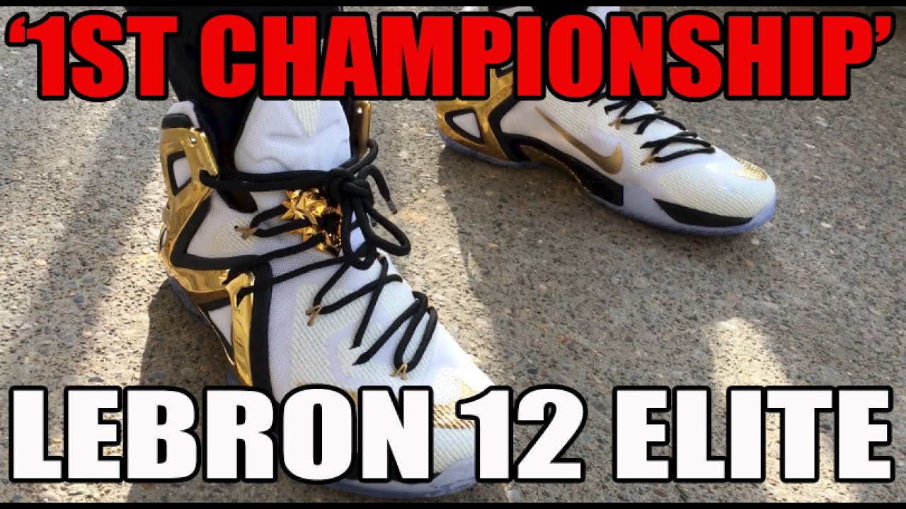 lebron 12 elite id