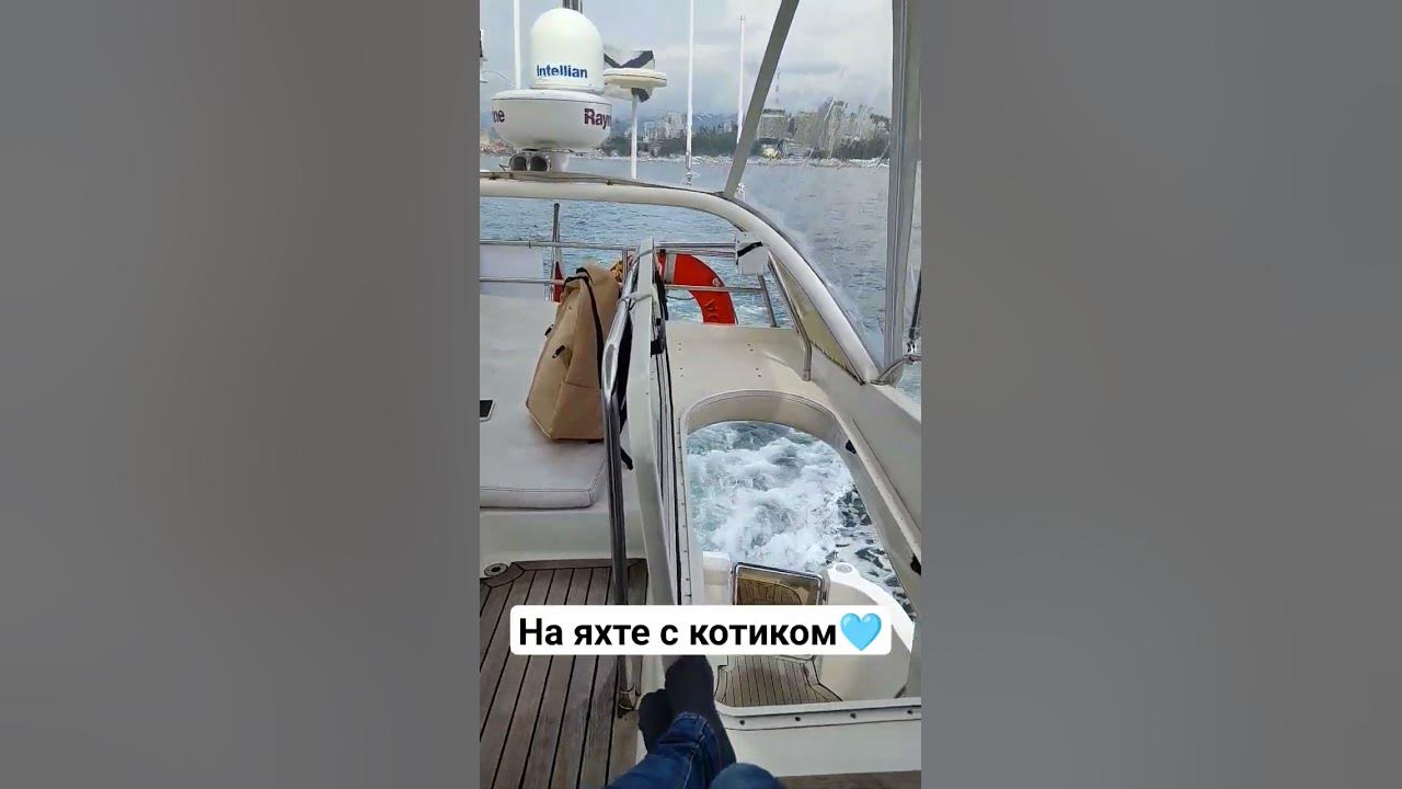 На яхте с котом! #блогер #путешествие #животные #кот #сочи #море - YouTube