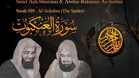 Quran with Urdu Translate / Surah 029 - Al-'Ankabut (The Spider) سورة العنكبوت