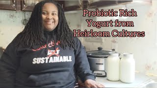 How to Make Yogurt at Home| Homemade Probiotics| Making Skyr Islandic Yogurt my Way