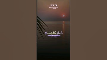 الشيخ خالد الجليل سورة يوسف #تلاوات #قران_كريم #صلي_علي_النبي