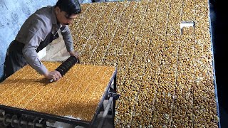 AMAZING PEANUT CHIKKI MAKING SKILLS | Food Processing Live Moongfali Jaggery Bar Recipe. Street Food