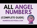 All Angel Numbers | The Secrets of All Angel Numbers in 1 Video [ NUMEROLOGY SECRETS ]