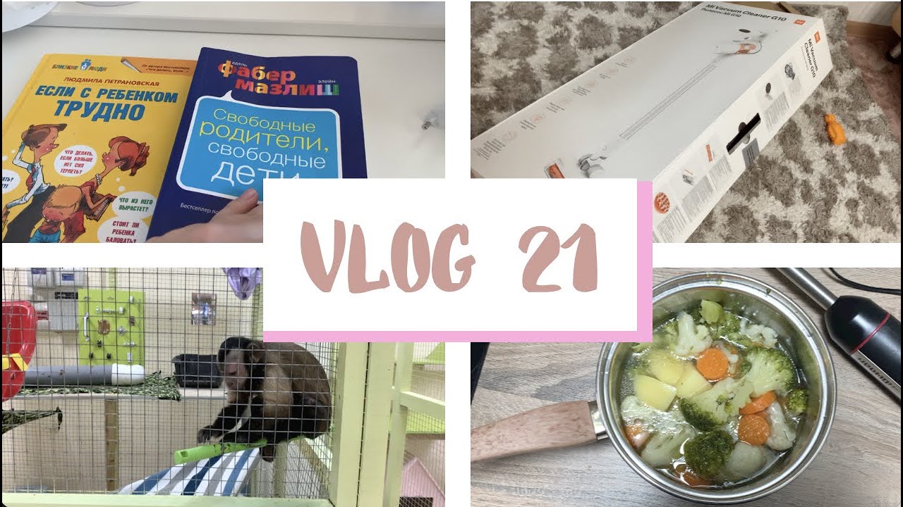 ВЛОГ 21. ЗООПАРК. ОБЗОР БЕСПРОВОДНОГО ПЫЛЕСОСА XIAOMI MI VACUUM CLEANER G10. РЕЦЕПТ КРЕМ СУПА