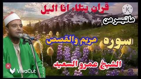 الشيخ عمرو السعيد سوره القصص ومريم