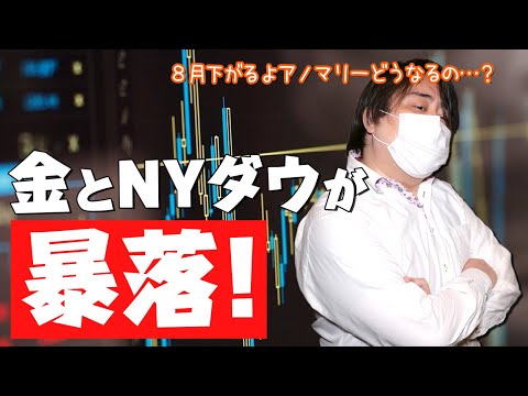 金とNYダウが暴落！含み損がかなり増えててヤバいので真面目にチャート分析してみた