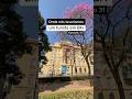 Onde nós levaríamos um turista em BH | CCBB BH