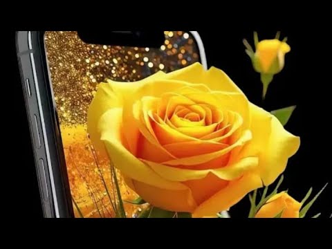 السلام عليكم ورحمه الله وبركاته