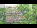 めぐり逢い紡いで  大塚博堂   カバー ajoshi