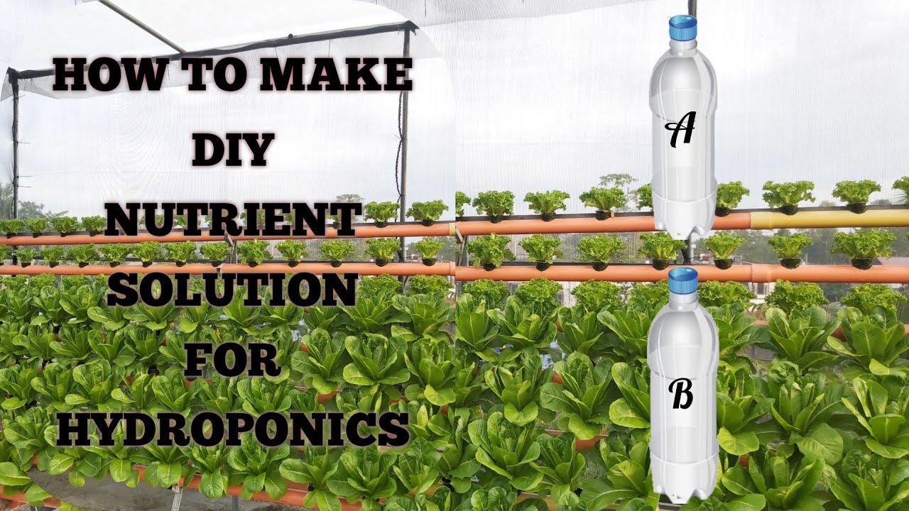 How to make DIY Nutrient Solution for Hydroponics | Leafy greens formula for Lettuce Soilless Garden