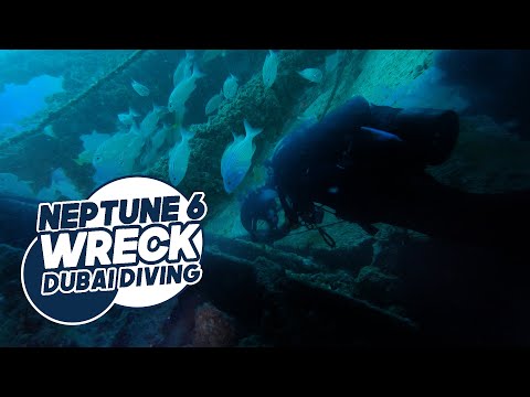 Neptune 6 Wreck, Dubai: offshore drilling barge at 25 metres