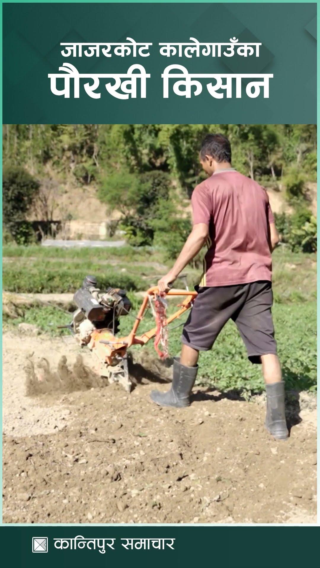 जाजरकोट कालेगाउँका पौरखी किसान | Kantipur Samachar