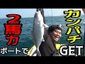 ２馬力エンジンで沖堤防に行って泳がせ釣りに挑戦 #2