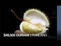 This thai durian costs 48000  asia featured