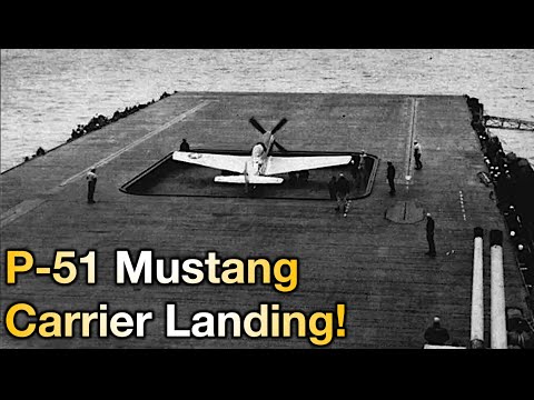 Video: Wurden S. 51 Mustangs in Vietnam verwendet?