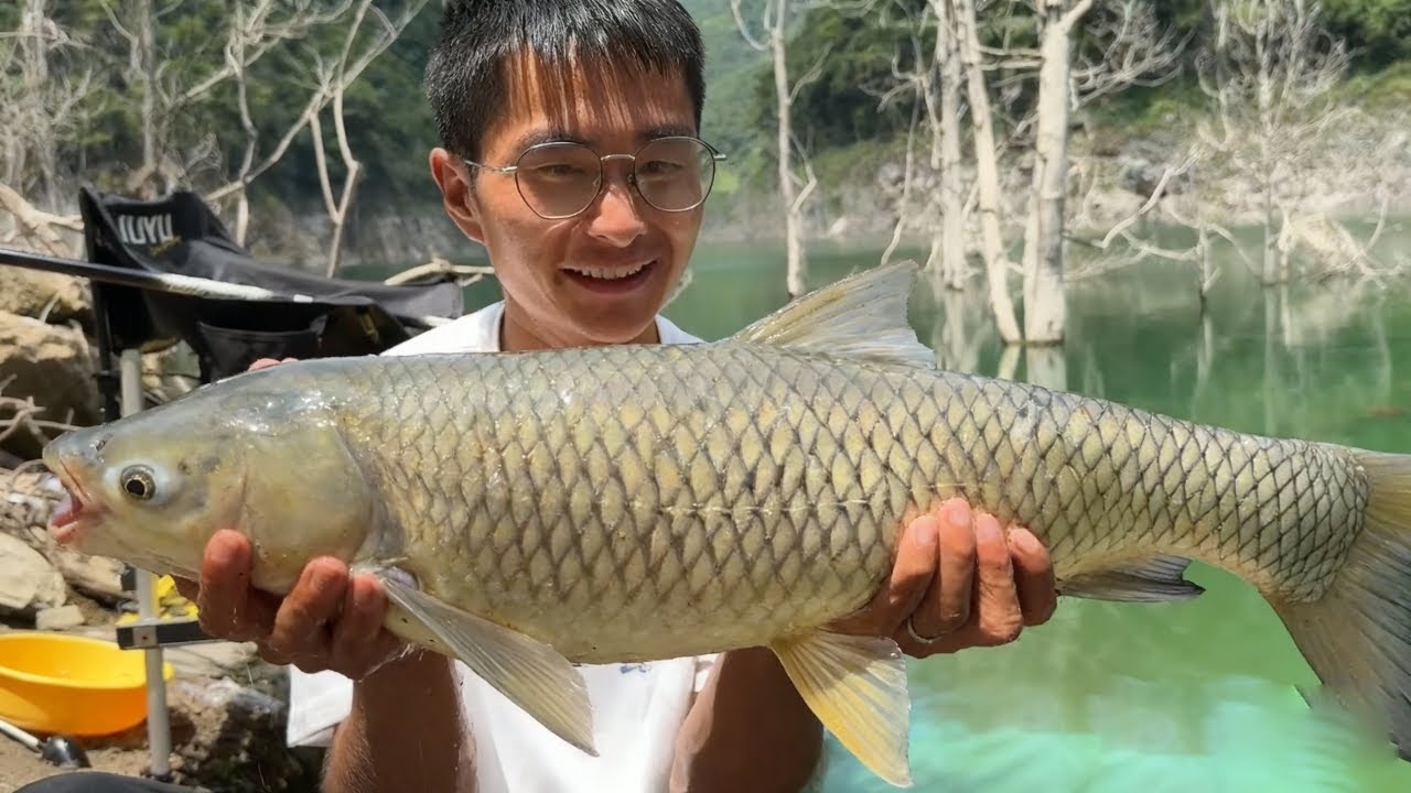 探钓恩施南渡江超级水库，连中三条百斤大草鱼！#小宋野钓 #大魚 #户外 #钓鱼