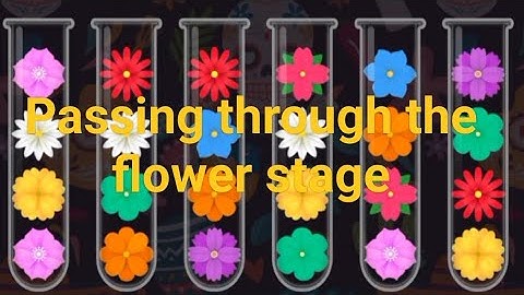 Addictive Ball Sort Puzzle Game! Perfect Sorting & Smooth ASMR(2595-2609)🎉😱