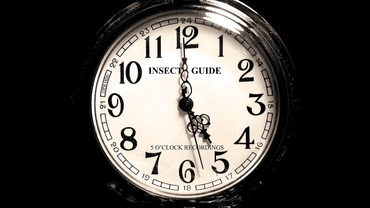 Insect Guide 5 O’Clock 5 O’Clock Recordings YouTube