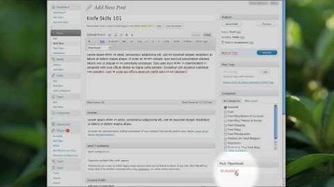 How to Use Thumbnails in Wordpress