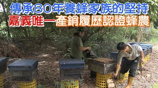 蜜峰夫妻的生命試煉(林永勝.廖淑珠) 一步一腳印 20200830