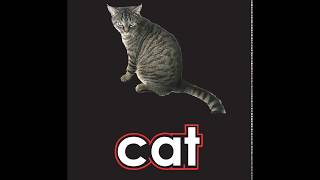 Animal Spelling Activity With Book What's that! and Shhh