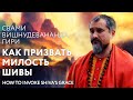 Сатсанг &quot;Как призвать милость Шивы&quot;, Свами Вишнудевананда Гири