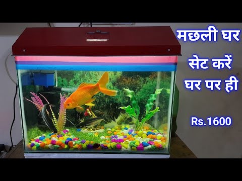 फिश टैंक को घर पर कैसे सेट करें | Fish Tank Ko Ghar