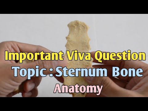 Important Viva Question | Topic : Sternum Bone | Anatomy - YouTube