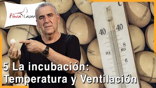 Parámetros en la INCUBACIÓN 🥚 | Cap V | Parte 1