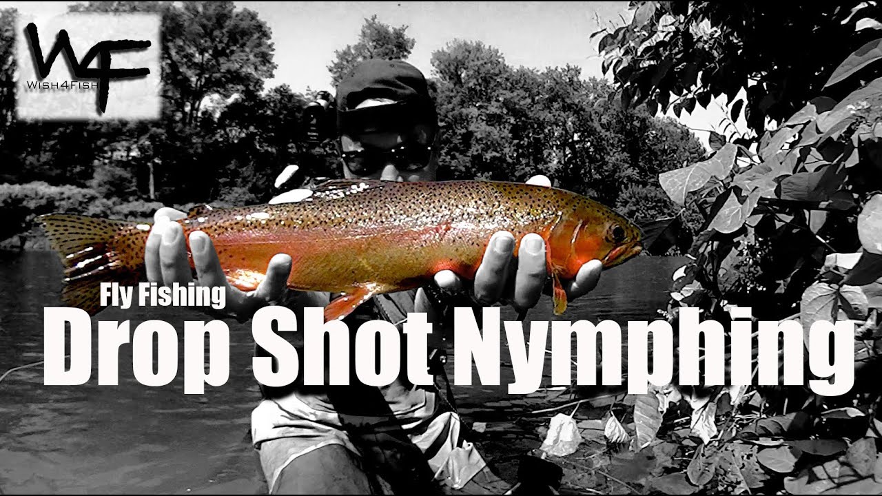 The Drop Shot Nymph Rig: Using Weight In Fly Fishing