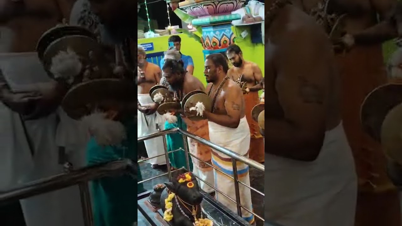 அம்மன் கைலாய வாத்தியக் குழு... திருப்பூர் 🙏🙏 மஹாசிவராத்திரி🙏🙏