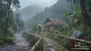 Download Lagu BERGBRONNEN GETROFFEN DOOR HARDE REGEN, ONTSPANNEN DORPSLEVEN REGENWANDELING MP3