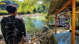 Download Lagu Jiwa Terasa Lebih Tenang, Suasana Di Kampung Dekat Sungai Pedesaan Sunda, Sungguh Indah Alam Desanya MP3 Download Lagu Jiwa Terasa Lebih Tenang, Suasana Di Kampung Dekat Sungai Pedesaan Sunda, Sungguh Indah Alam Desanya MP3