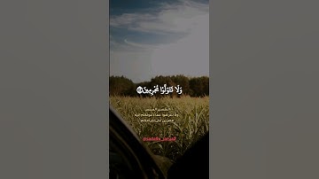 استغفروا ربكم ثم توبوا إليه ❤️ #قرآن_كريم #صوت_جميل #سورة_هود #اكسبلور #لايك #دعم #الجزائر #دويتو