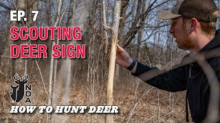 Scouting Deer Sign for Good Stand Locations. How to Hunt Deer Ep. 7