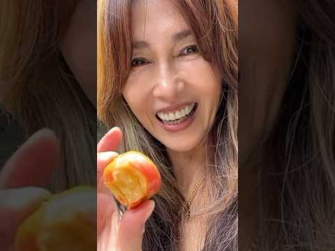 工藤静香 木村拓哉 Kōki Cocomi @kudo_shizuka @takuya_kimura_takuya @koki @cocomi_553_official