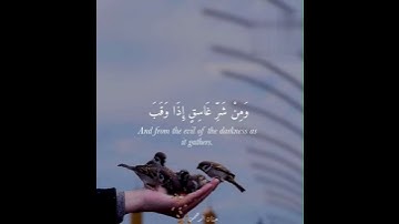 أرح سمعگ 😴💛 سورة الفلق #للقارئ سعد الغامدي 🌟#حالات واتس اب دينيه