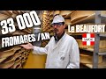  33 000 fromagesan  je visite le beaufort avec traite en alpages   de 2000m daltitude 