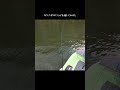 とあるポイントにフライを通すと #shorts