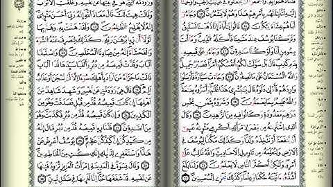 سورة يوسف - برواية ورش عن نافع- قراءة الشيخ موسى بلال