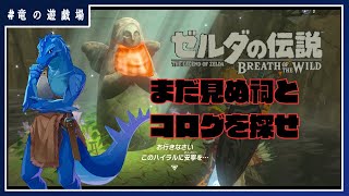 #3【ゼルダの伝説・breath of wild】まだ見ぬ祠とコログを探せ【竜の遊技場】